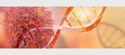 cancer cell_DNA-resize1200x675.png