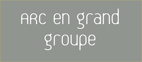 ARC_en_grand_groupe.jpg
