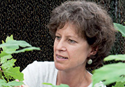 Dies 2013 - Professeure Susan L. Brantley