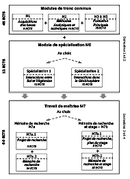 Structure plan d'études du MSc BGS