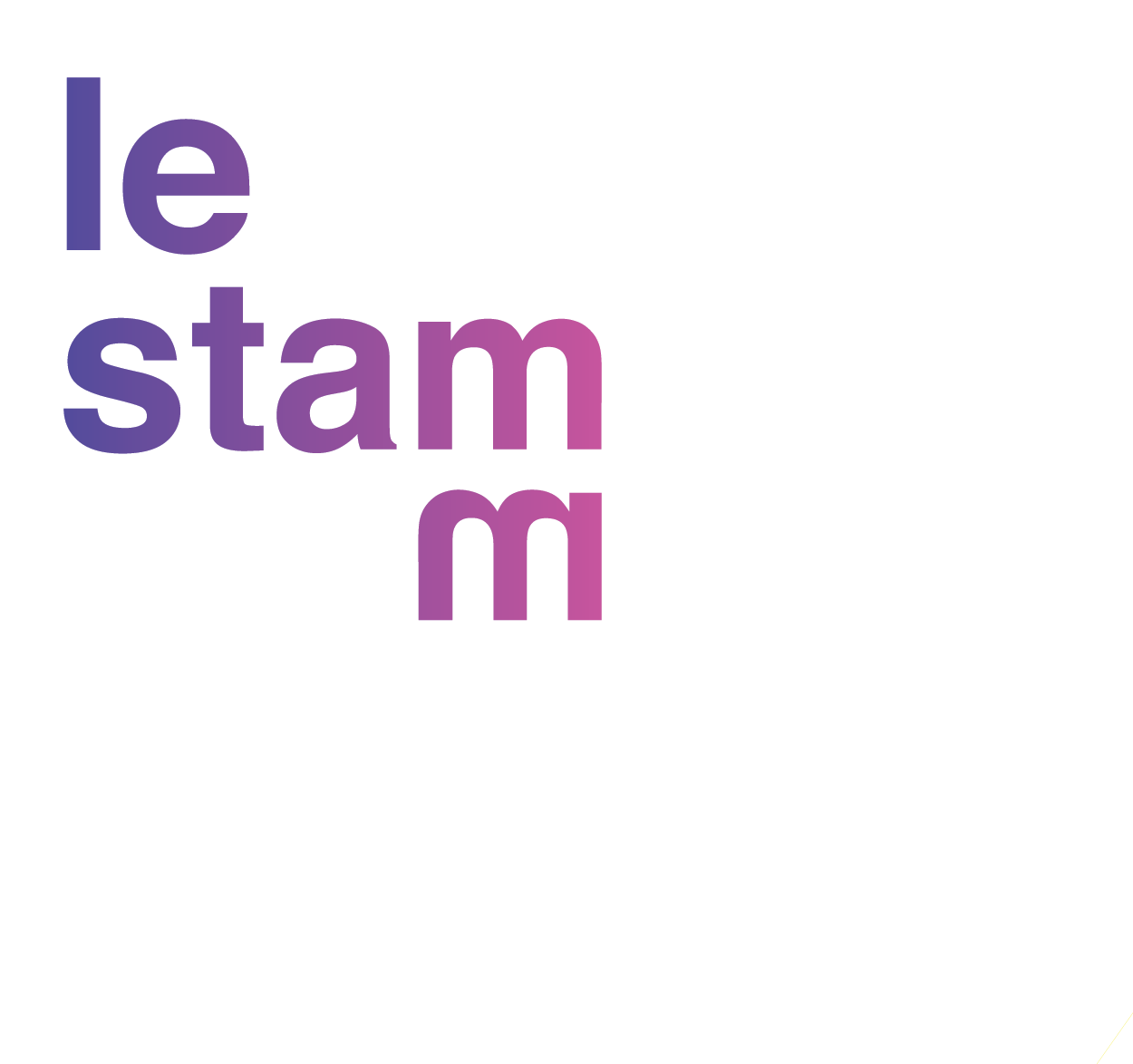 LE STAMM LOGO COULEUR(1).png