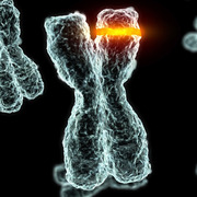 Chromosome-select-crop881x881-resize180x180.jpg