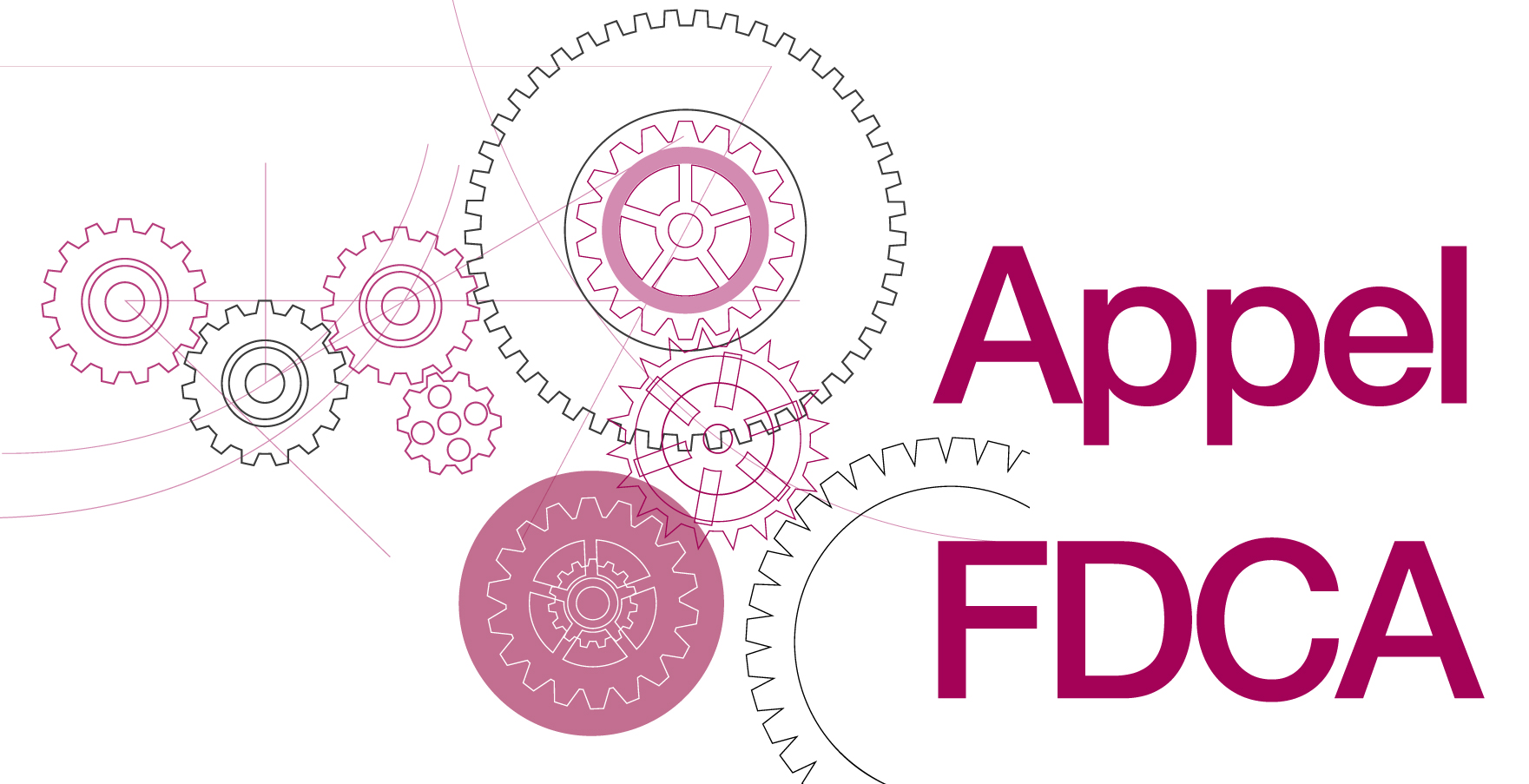 FDCA-WEB-SR-Appel FDCA Logo 01-2024.jpg