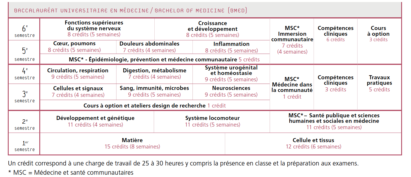 ba_medecine_23.png (Structure du Bachelor en médecine 2023)