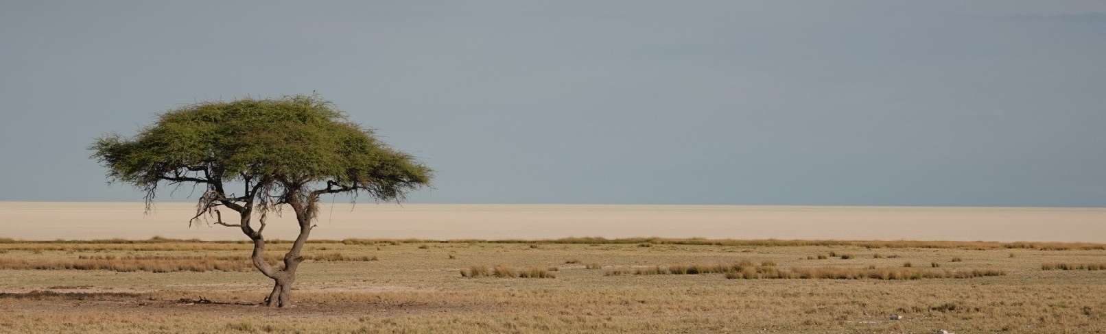 paysage namibie 1 MODIF 2.jpg