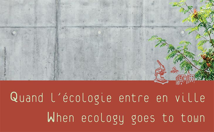 Ecology_town.jpg