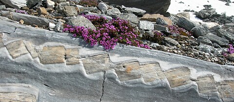 Alpine and Himalayan Geology