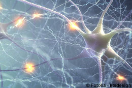 fonds_nlm_ktsdesign.jpg (Neurons Electric Pulse)