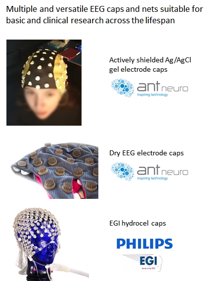 EEG-ANT2.jpg
