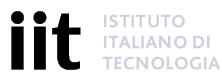 IIT-logo.png