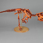 101572_Psittacosaurus_meileygensis_2.jpg