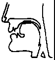 Figure 3.10 : occlusive palatale nasale